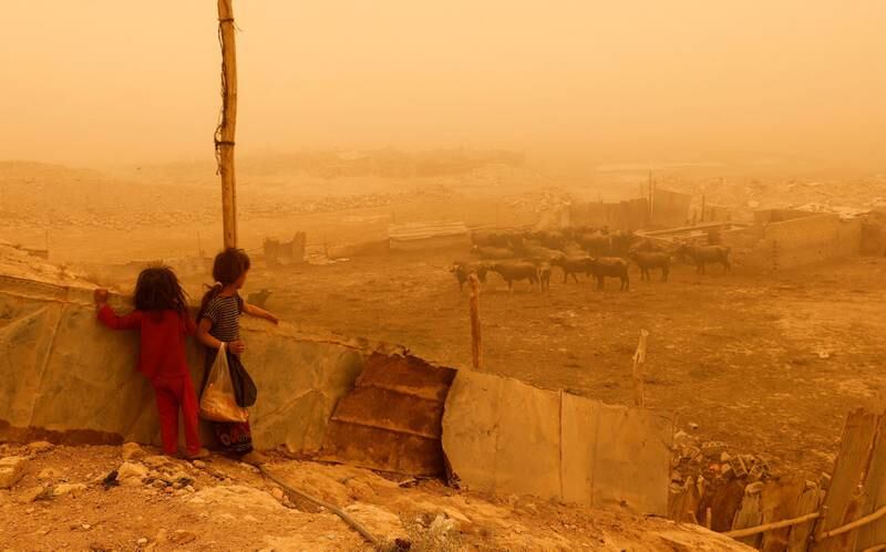 Children look at cattle during a sandstorm in eastern Baghdad on May 23. More than three billion people are affected by degraded ecosystems around the world, according to the UN. Reuters