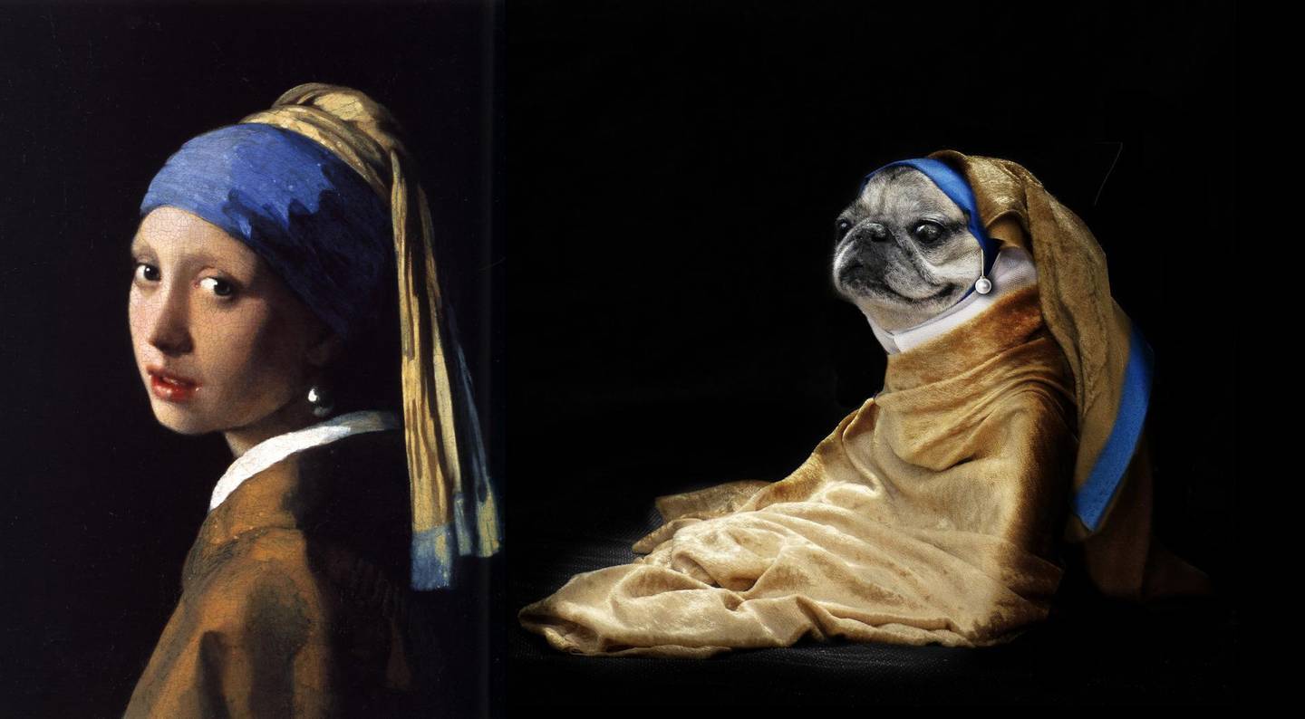 A Twitter user recreates Johannes Vermeer's 'Girl with a Pearl Earring' with his pet pug Dotty. Via @rmrphoto / Twitter