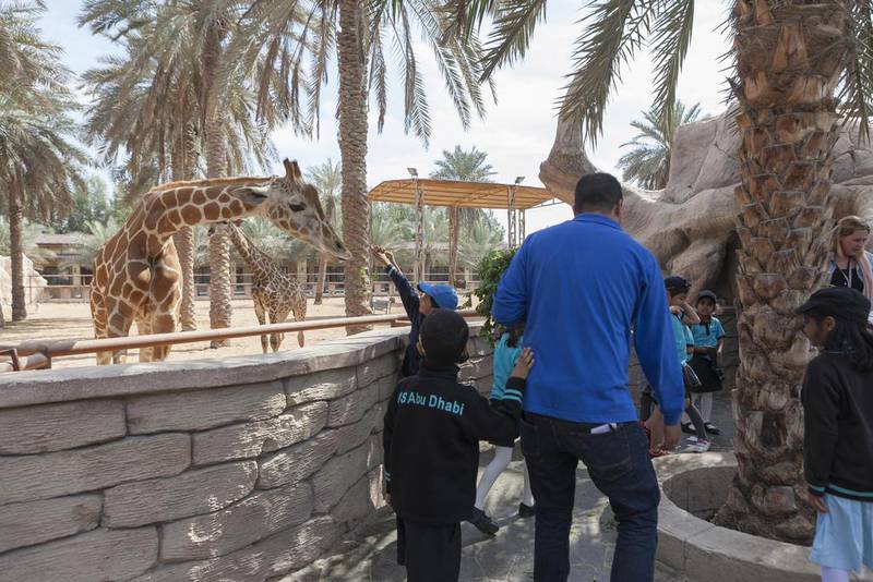 The giraffe display is a popular stop among visitors. Antonie Robertson / The National