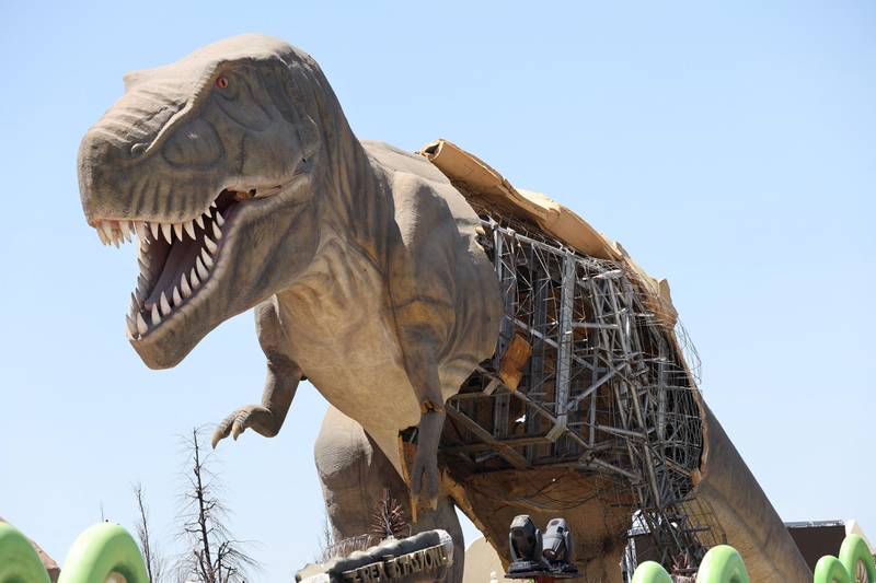 This dinosaur has lost much of its ferocity. AFP