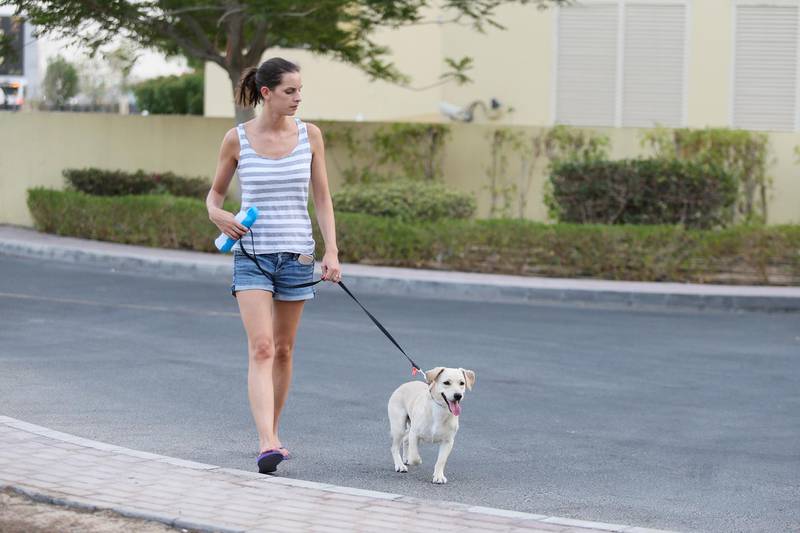 DUBAI, UNITED ARAB EMIRATES. August 23, 2015 - Stock photograph of dog owners at the Greens Dog Park in Dubai, August 23, 2015. (Photo by: Sarah Dea/The National, Story by: Samoglu/News) *** Local Caption ***  SDEA230815-dogwalking16.JPG