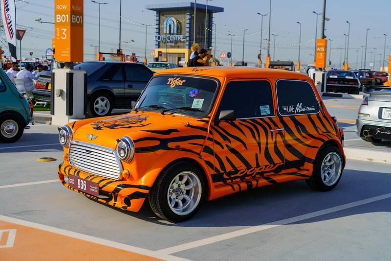 Tiger Mini with eyes to match.