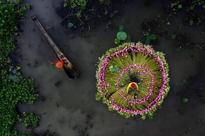 'Waterlily Harvesting', Kolkata, India, by Shibasish Saha of India.