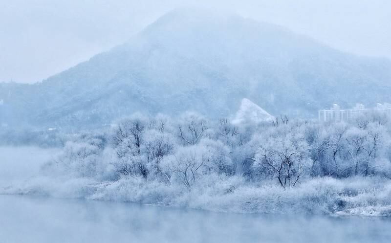 Frost blankets trees and grass along the Soyang River amid a cold wave in Chuncheon, South Korea. EPA