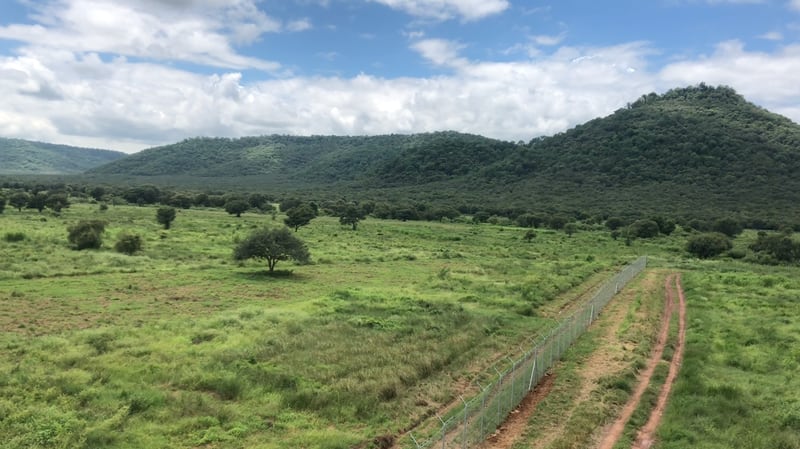 The fenced enclosure at the Kuno National Park in India's Madhya Pradesh state where the Namibian cheetahs will be kept before being released into the wild. 