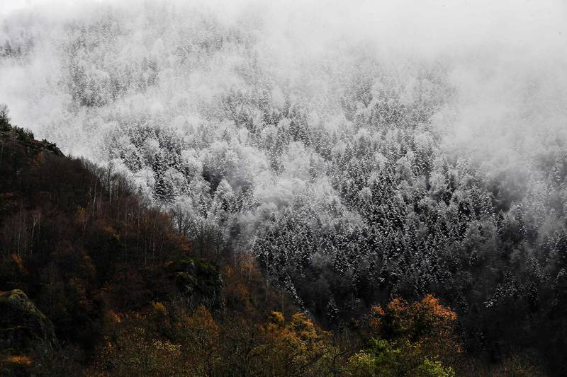 Snowy mountains and trees at Super Bagneres ski station near Bagneres-de-Luchon in southern France. The French government decided to keep the ski lifts closed during the Christmas holidays as part of a preventive measures taken to curb the spread of coronavirus. AFP