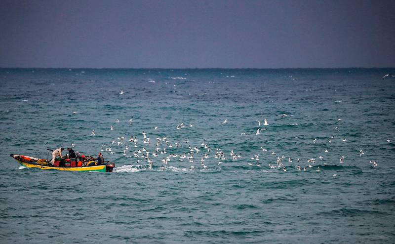 Seagulls follow Palestinian fishermen in their boat during rain in the Mediterranean sea off the coast of Gaza City.   AFP
