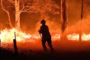 Firefighters and residents hose down trees and flying embers in an effort to secure nearby houses from bushfires near the town of Nowra. Courtesy: AFP