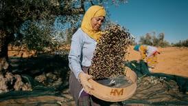 Harvesting Tunisia's liquid gold with artisanal olive oil producer Kaïa