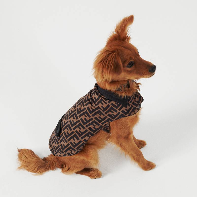 Nylon printed FF dog coat, Dh1,383 ($376), Fendi. Photo: Fendi