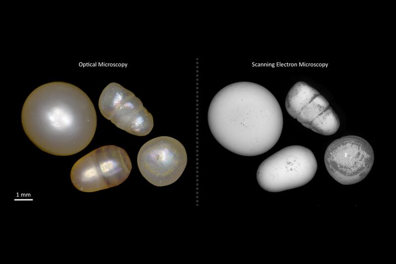 Bahrain’s Institute for Pearls and Gemstones is teaming up with the Massachusetts Institute of Technology to ensure traceability in natural pearls. Photo: Masic Lab / MIT