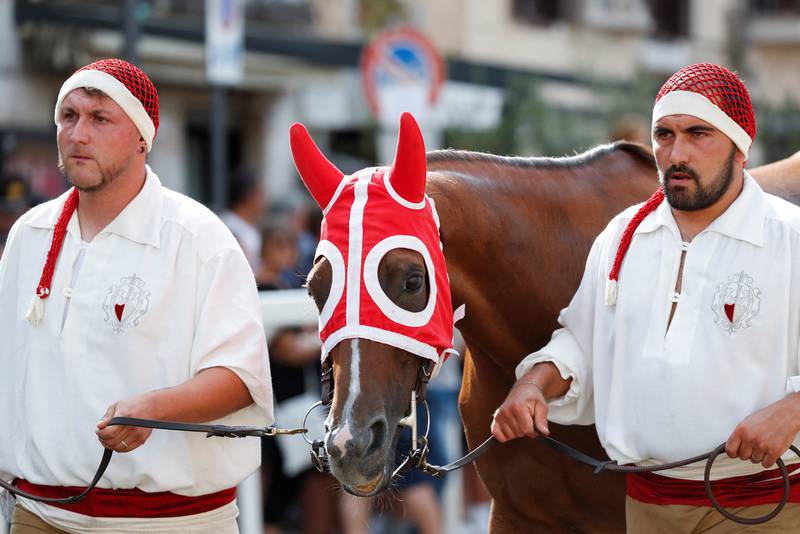A horse is led to the race, which takes place on the town's renaissance streets.