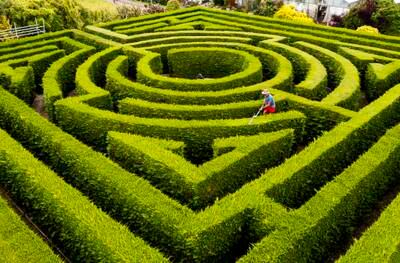 Jordan Pettitt's picture of Richard Bushby tending to a maze
in his own back garden has been shortlisted in the Young Photographer of the Year category