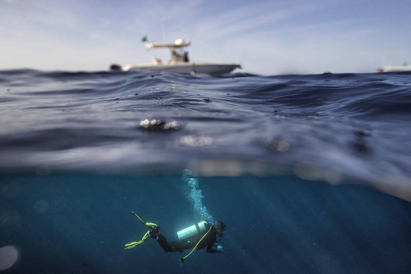 Researcher Nathan Geraldi of the US dives during a research trip in the Red Sea, offshore of the King Abdullah University of Science and Technology, near Jeddah, Saudi Arabia. Reuters