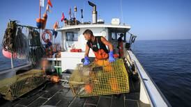 Chinese buyers snap up Maine's lobster haul 