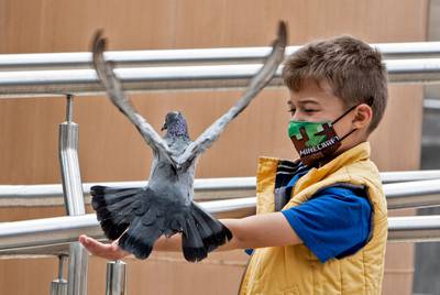 A child plays with a pigeon during a protest in San Jose, Costa Rica, against the Russian invasion in Ukraine. Ezequiel Becerra / AFP