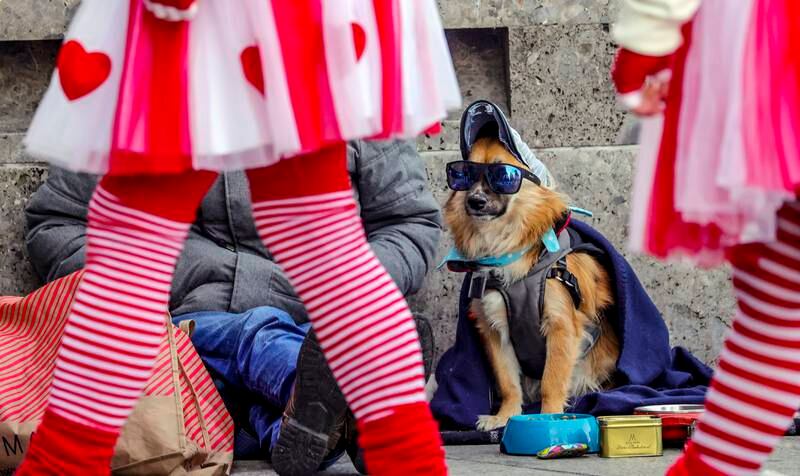 Costumed revellers pass a street beggar with a dog in Cologne, Germany. EPA 