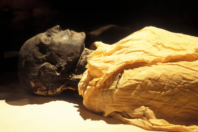 CAIRO, EGYPT - APRIL 2006:  Sethi I (1294-1279 BC), in April 2006, at Cairo Museum, Egypt. The mummy of Seti I bears witness to the mastery of mummification techniques of embalmers of ancient Egypt during the New Empire. This mummy is in fact one of the best that has been discovered.  (Photo by Patrick Landmann/Getty Images)