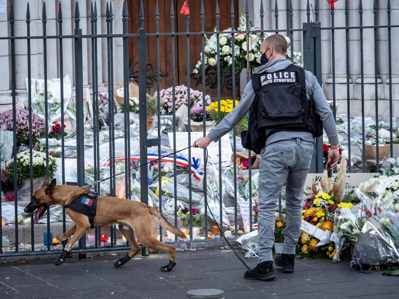 NICE, FRANCE - NOVEMBER 01: A police officer with a sniffer dog checks flowers in front of Notre Dame basilica, before a mass to pay tribute to the victims on November 01, 2020 in Nice, France. A 21-year-old Tunisian man is accused of fatally stabbing three people in the church on Thursday, in what French President Emmanuel Macron described as an "Islamist terrorist attack." The attacker was shot and wounded by police and is reported to be in critical condition. (Photo by Arnold Jerocki/Getty Images)