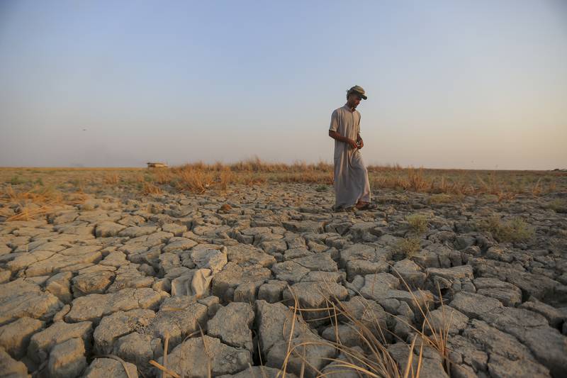 Drought in Syria has compounded the effects of the 12-year conflict. AP 