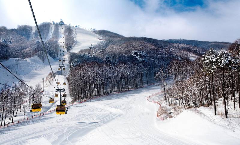 Ski runs in the Phoenix Park area of South Korea. Ski Safari