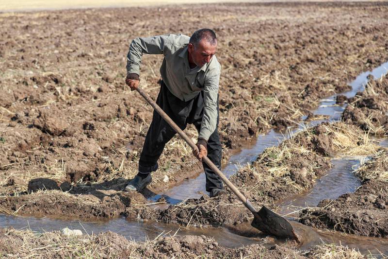 A farmer digs irrigation ditches for water supplied from a well, at a farm in the Rania district near the Dukan Dam. AFP