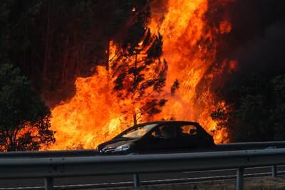 Trees burn in a forest fire as pictured from the A1 highway in the locality of Cardosos. EPA