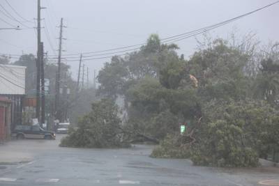 Fallen trees block a street in Puerto Rico. Alvin Baez / Reuters