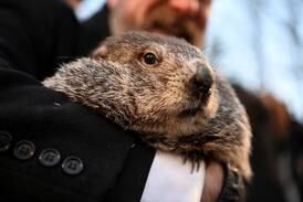 Groundhog Day 2023: Rodent predicts six more weeks of winter