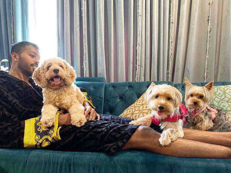India all-rounder Hardik Pandya and his cute dogs