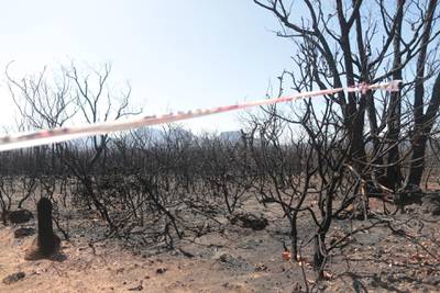 The aftermath of the 2019-2020 bushfires in the Stirling Ranges National Park, Western Australia. Louise Burke/The National