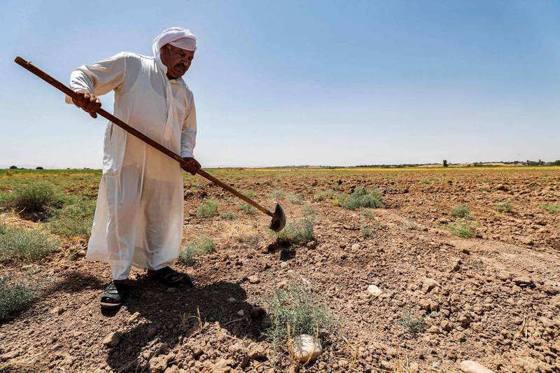 A farmer digs field in a parched field at his farm in the Khanaqin area, north of Diyala, in eastern Iraq.