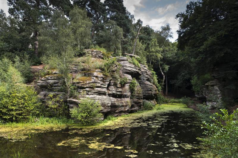 Plumpton Rocks in Harrogate, North Yorkshire have been removed from Historic England's at-risk register.