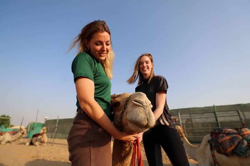 Ms Higgins and Ms Krockenberger with one of the racing camels. Chris Whiteoak / The National