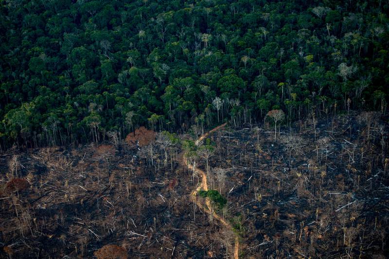This aerial photo shows a deforested area of Amazonia rainforest in Labrea, Brazil in September. AFP