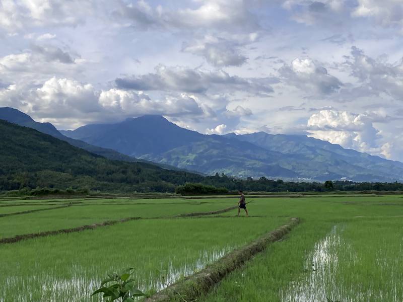 Paddy fields in Kadangband. The valley is dominated by Meiteis while the surrounding hills are predominately tribal habitats. Taniya Dutta / The National
