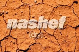 Arabic word of the week: why ‘nashef’ isn't as dry as it seems