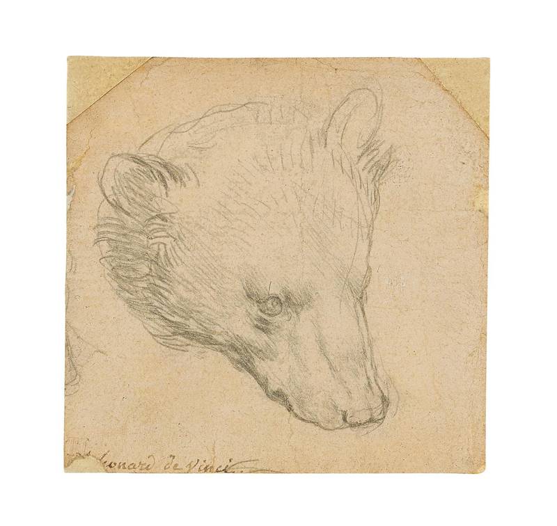 Leonardo da Vinci's (1452-1519) "Head of a bear" drawing is seen in this undated handout image. Copyright Christie's2021/Handout via REUTERS  THIS IMAGE HAS BEEN SUPPLIED BY A THIRD PARTY. NO RESALES. NO ARCHIVES. MANDATORY CREDIT