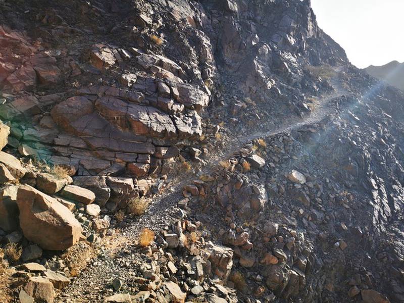 The Wadi Showka trail is about a three-hour hike in total. Photo: Absolute Adventure