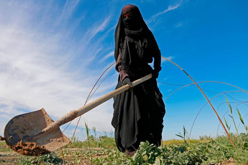 A female Iraqi farmer digs with a shovel in a field in Diwaniyah, around 160 kilometres (100 miles) south of the capital Baghdad, on April 2, 2018.
Iraqi farmers have traditionally lived off their land with no need for wells, but a creeping drought is now threatening agriculture and the livelihoods of nearly a quarter of the country's population in the southern agricultural provinces of Diwaniyah, Muthanna and Missan. / AFP PHOTO / Haidar HAMDANI