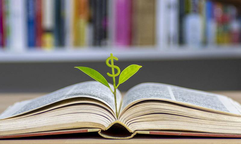 education concept with tree of knowledge planting on opening old big book in library with textbook, stack piles of text archive and aisle of bookshelves in school study class room