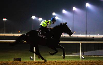 Walderbe from Germany tries out the track at Meydan. EPA