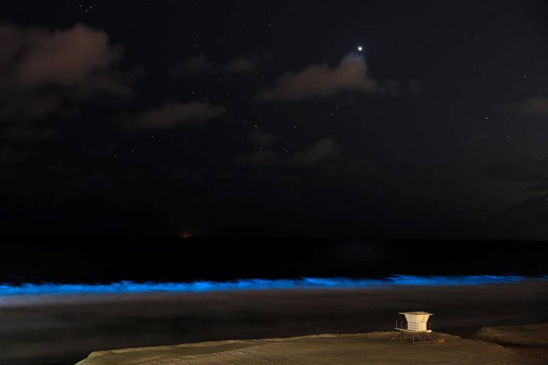 Bioluminescent algae glows in the crashing waves as a lifeguard tower sits on an empty beach during the outbreak of the coronavirus disease (COVID-19) in Encinitas, California, U.S., April 18, 2020. Picture taken with long exposure. REUTERS/Mike Blake     TPX IMAGES OF THE DAY