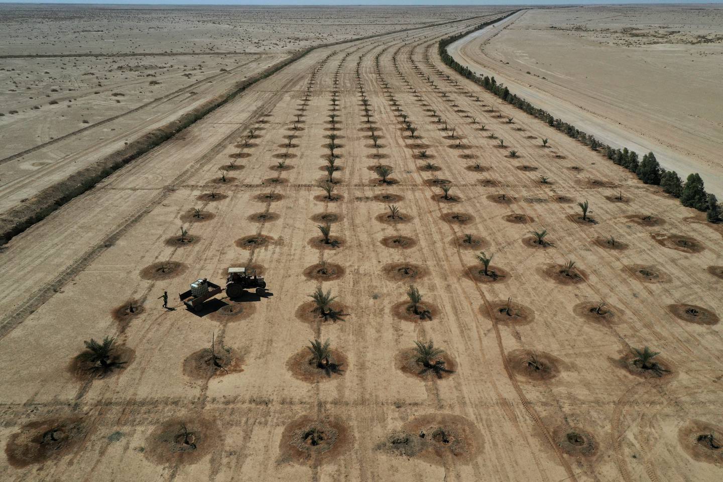 Trees are planted to form a "green belt" around the Iraqi city of Karbala as part of an initiative to tackle desertification and sand storms. Reuters
