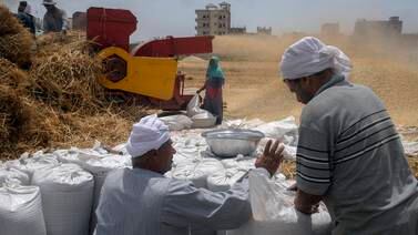 An image that illustrates this article Egypt exempted from India’s wheat export ban, minister says