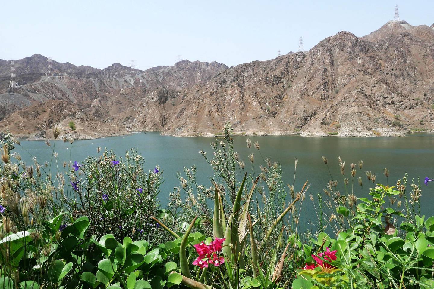 SHARJAH, UNITED ARAB EMIRATES , August 27 – 2020 :- View of the beautiful landscape of the Al Rafisah Dam and rest area on Khorfakkan road in Sharjah.  (Pawan Singh / The National) For Standalone/Stock/Instagram/Big Picture