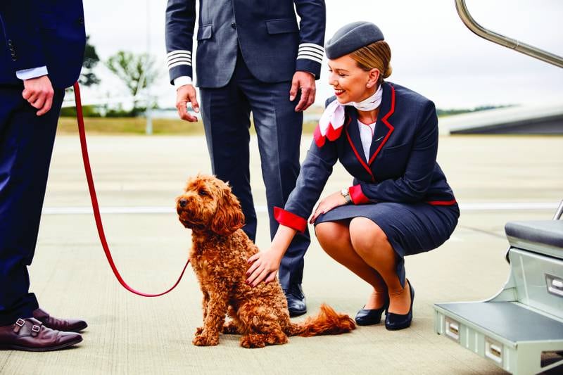 One in four passengers are flying with their pets on VistaJet's private planes. All photos: VistaJet