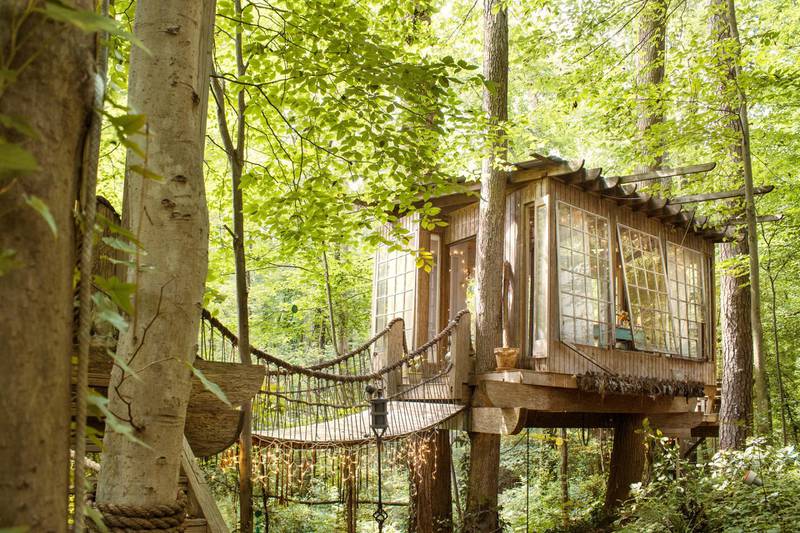 Georgia: secluded in-town treehouse