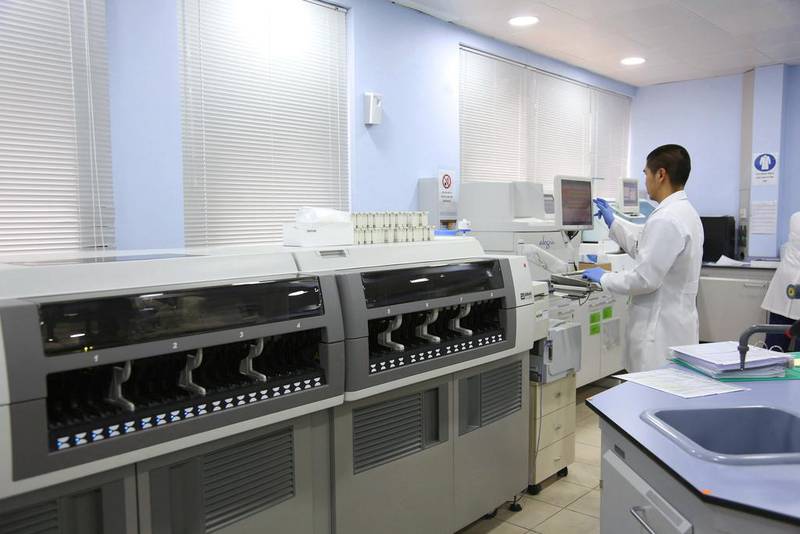 Staff work on the immunology unit of Al Borg Medical Laboratories in Abu Dhabi. Irene García León for The National