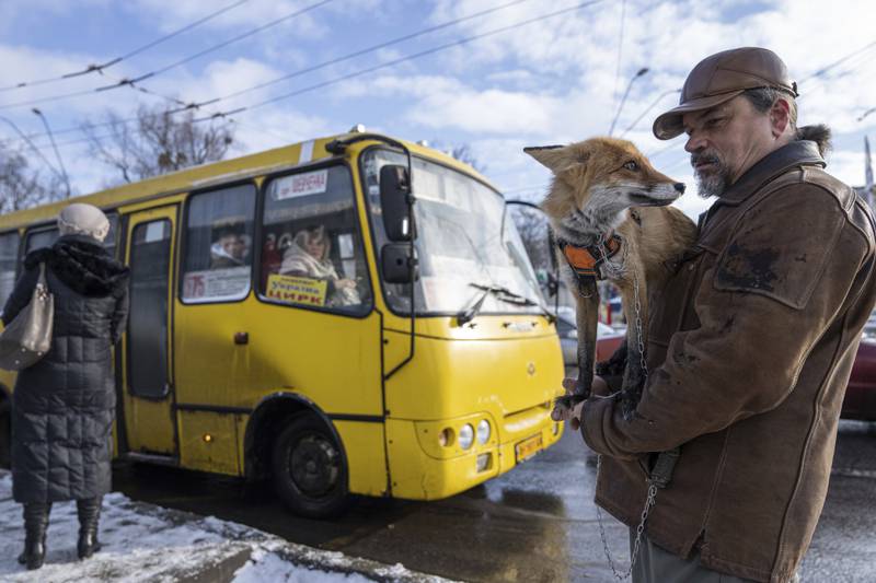 A man holds his pet fox as people wait for a bus in Kyiv, Ukraine. AP